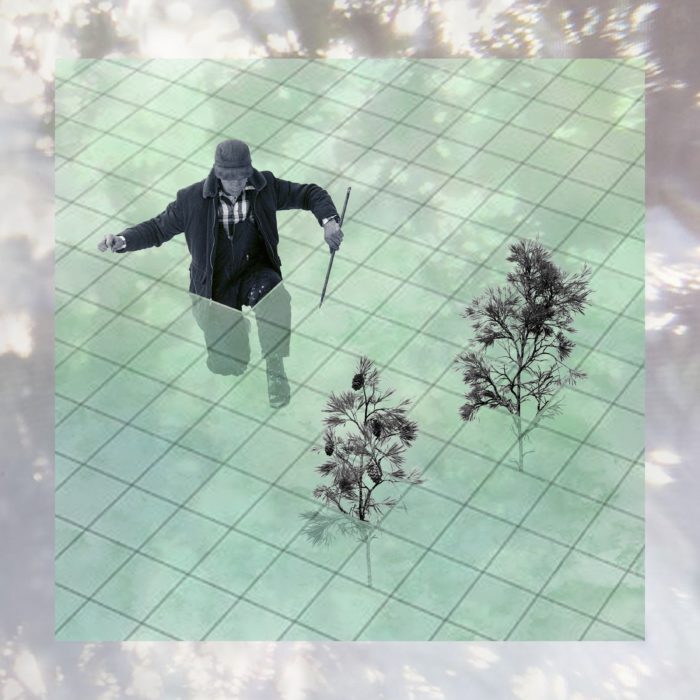 An illustration depicts a figure in a coat and overalls, kneeling in a pale green grid, with an enormous needle in one hand. A few coniferous saplings sprout through the grid, too. The entire image is overlaid with a pale photograph of light filtering through tree branches.