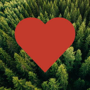 A giant red heart shape centered on an overhead view of a lush green pine forest.