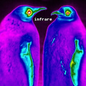 2 Penguins in infrared with "infrare" written between them.