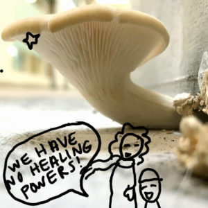 a photo of an oyster mushroom with a drawing of people and a speech bubble with the words: 'we have no healing powers'