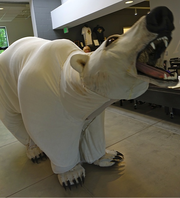 a giant polar bear puppet roars with a mouth wide open
