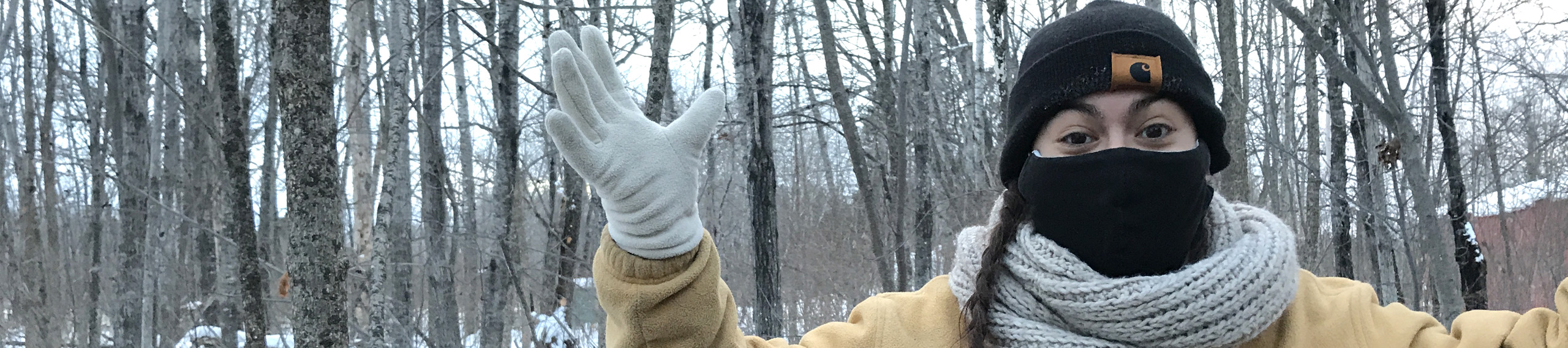 a person bundled up wearing a face mask, gestures the winter landscape