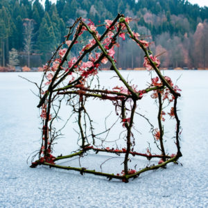 a house structure made of vines and flowers rests on a snowy lake