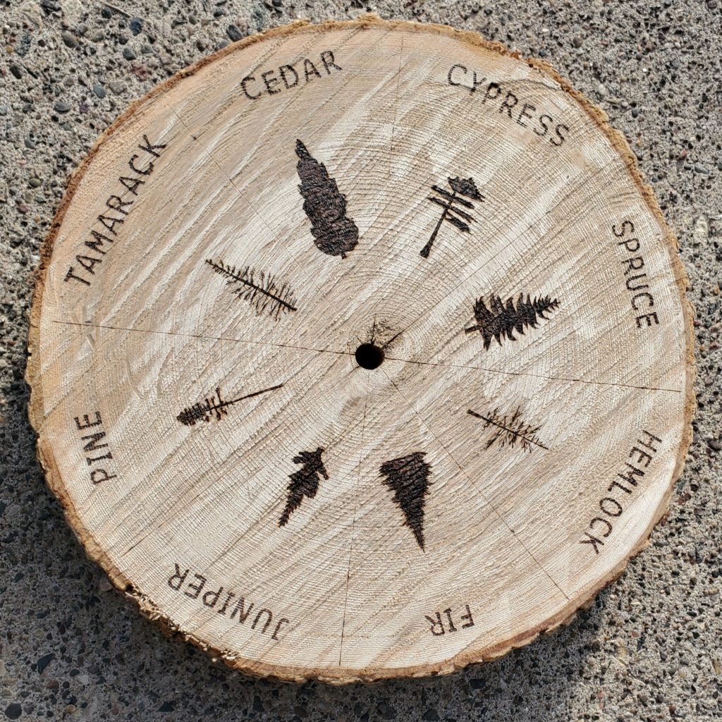 A photo of a slice of a tree. The names of coniferous trees and illustrations of their shapes are beautifully burned into the surface in a radial pattern.