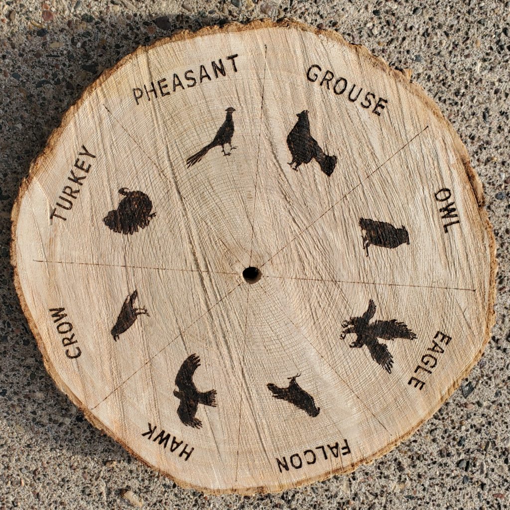 A photo of a slice of a tree. The names of birds and illustrations of their silhouettes are beautifully burned into the surface in a radial pattern.