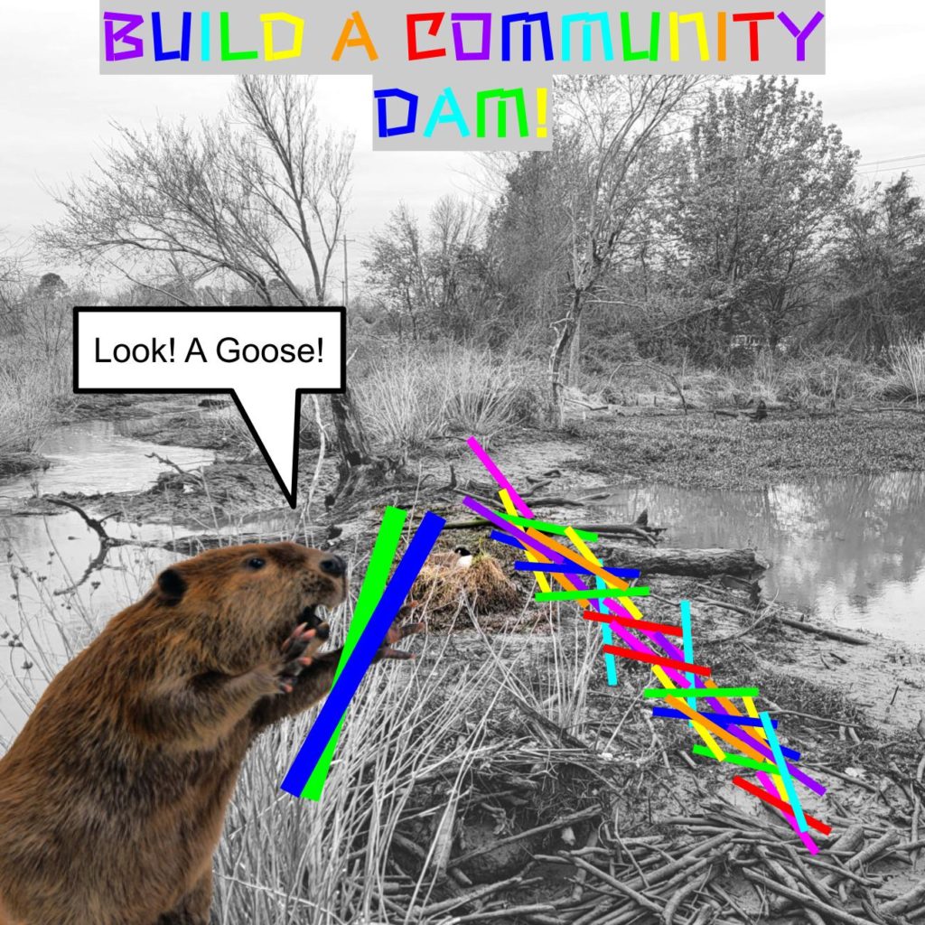 an image of a beaver at a dam with colorful lettering spelling 'build a community dam.' a text bubble coming out of the beaver's mouth reads 'look! a goose!'