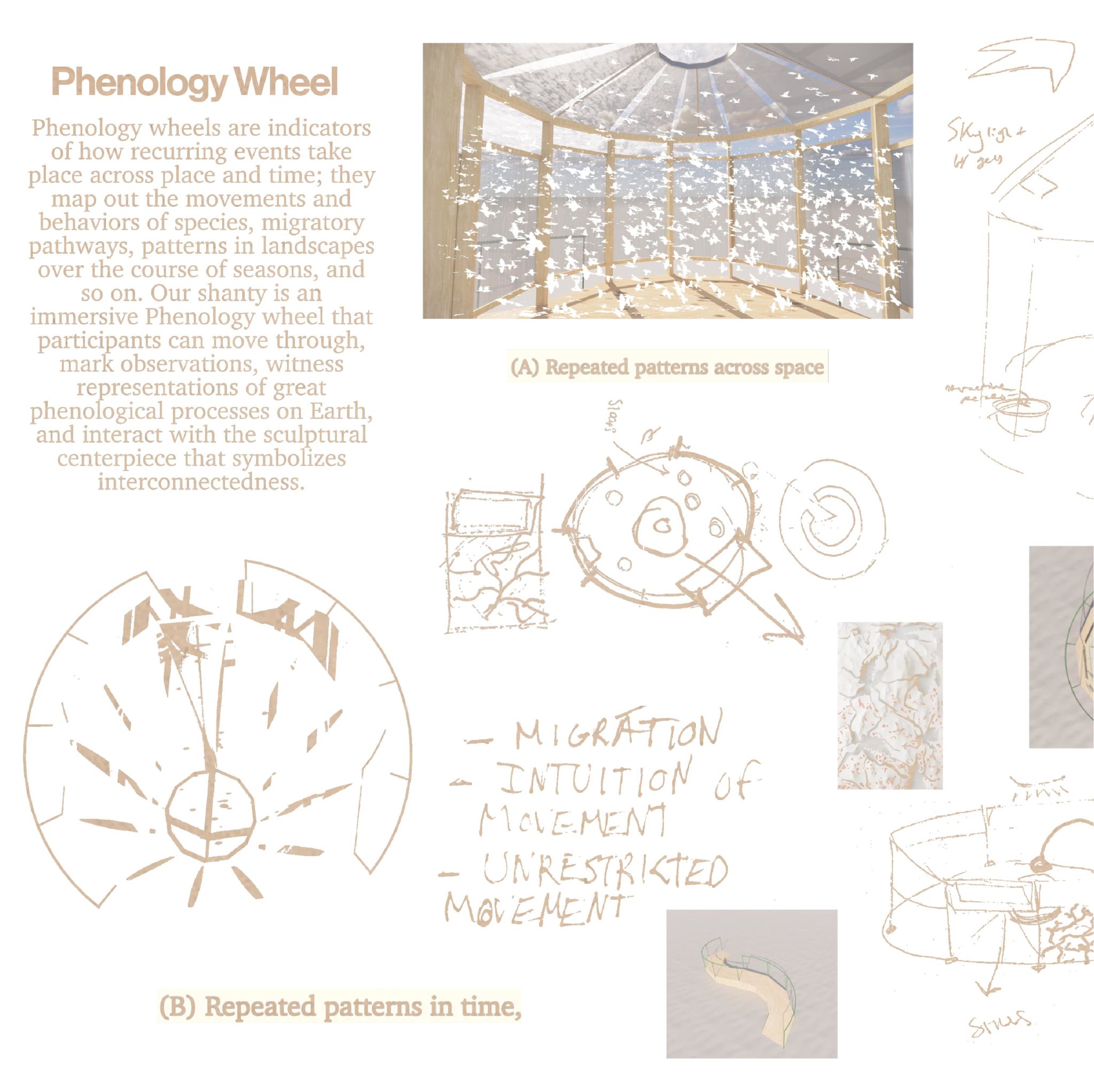 a workboard for a shanty that includes info and drawings related to phenology