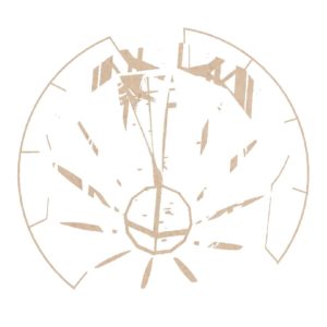an abstract drawing of a phenology wheel