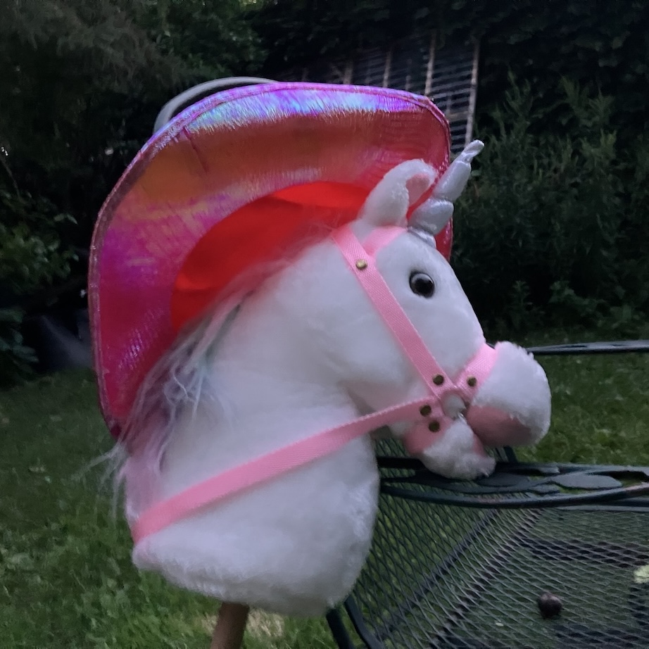 HOBBY HORSING ON ICE