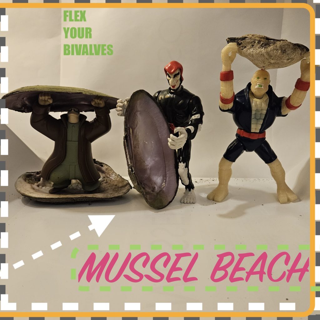 Small muscleman action figures weight lifting zebra mussels