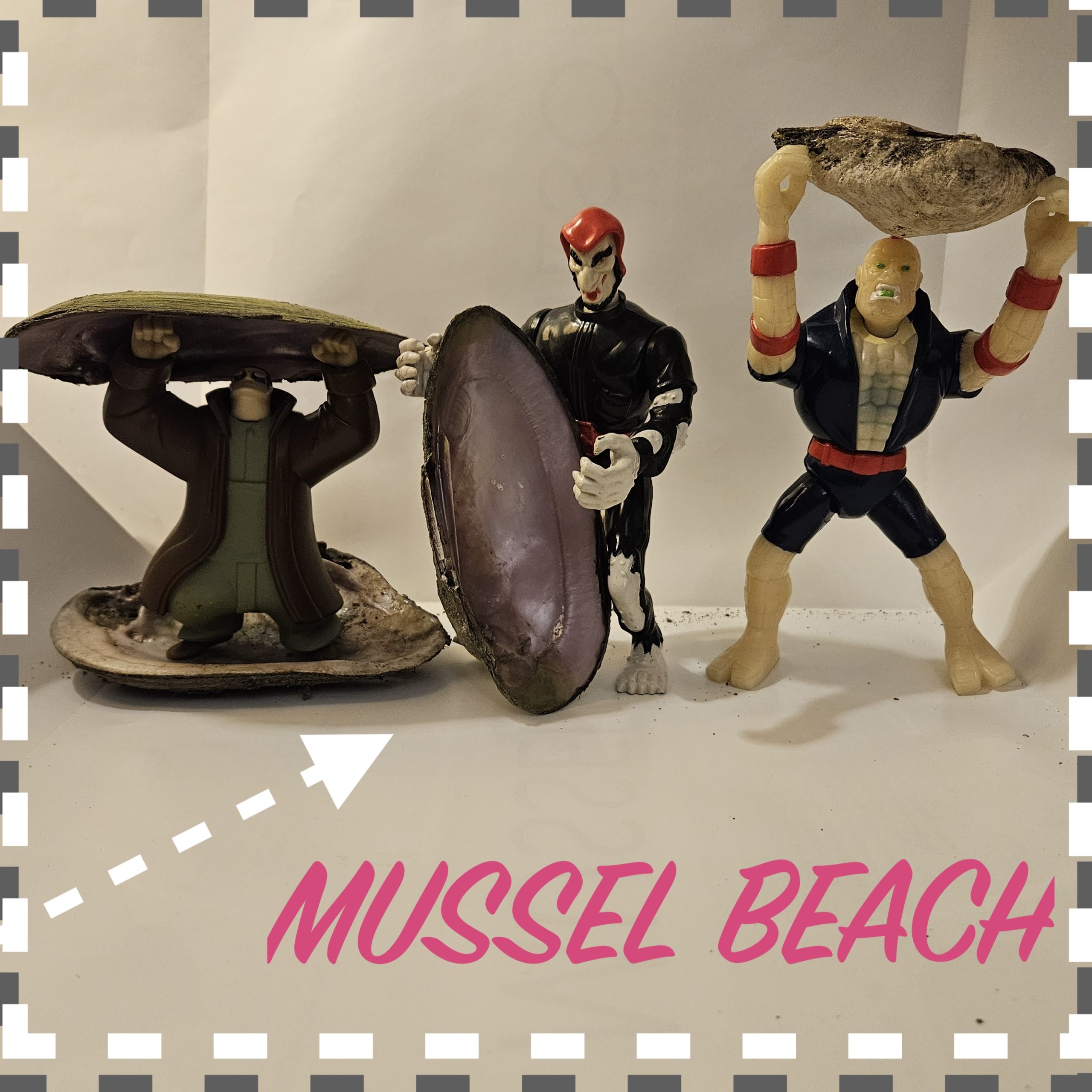 MUSSEL BEACH