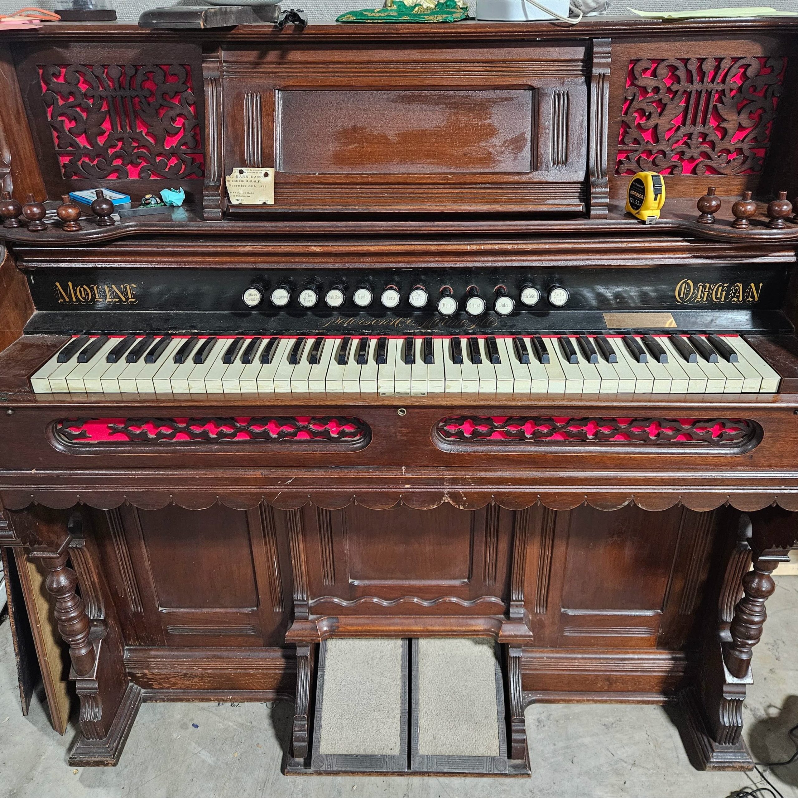 SHANTY ORGANTY
